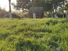 -厦门园林博览苑