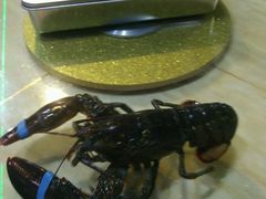 -四川小胡子海鲜(丁村万人海鲜广场店)