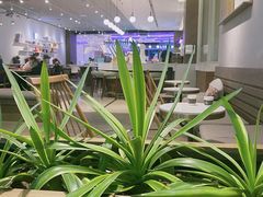 -Peet's 皮爷咖啡(陆家嘴中心店)