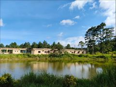 -海南热带雨林国家公园吊罗山景区