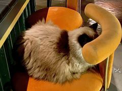 -Estaeslavida分享茄雪茄吧(亿彩购物中心店)