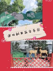 -萌宠亲子动物乐园(槐房万达店)