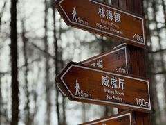 -横道河子东北虎林园