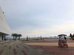-野狸岛