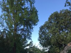 -北京鹫峰国家森林公园