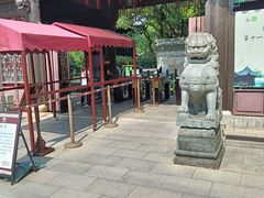 -上海醉白池公园