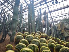-南山植物园