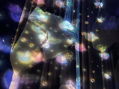 -芜湖新华联大白鲸海洋公园