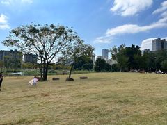 -牛岗山公园