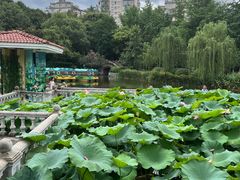-绵阳人民公园(涪城区)