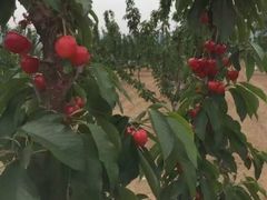 -大连步云山老汤度假山庄