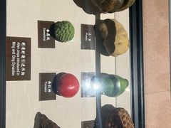 -中国农业博物馆