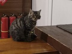 -余味私房菜(正阳小区西5街区店)