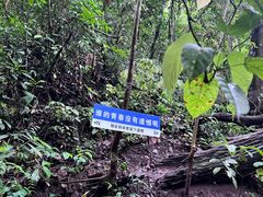 -西双版纳基诺山寨