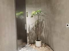 -二酉书店TOYOU BOOKS