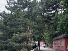 -妙峰山风景名胜区