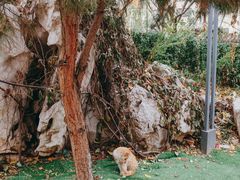 -李叔同故居纪念馆