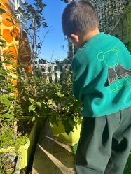 -可可天空农场(中大店)