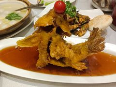 -老牌坊鲁菜名店(宽厚里店)