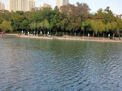 景点-红梅公园