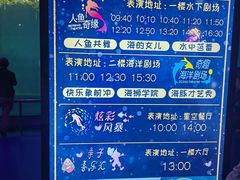 -泉城欧乐堡海洋极地世界