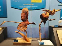 -国家自然博物馆