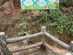 -栾川竹海野生动物园