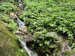 -西岭雪山大飞水景区