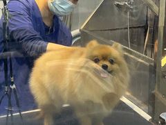 -萌兽医馆·眼科·异宠专科(三里屯店)