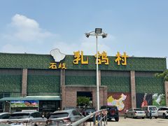 -石岐乳鸽村(南海第三分店)
