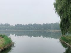 -秀水公园