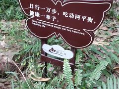 -铁山坪森林公园