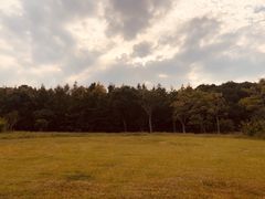 -苏州金鸡湖大酒店