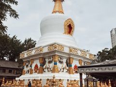 -护国法轮寺