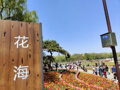 -北陵公园