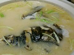 拓林湖鱼头炖豆腐-蔡府家宴(699店)
