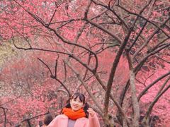 -重庆彩云湖湿地公园