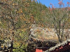 -青龙山生态文化旅游区(慈云寺)