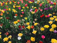 -长春公园(普阳街道)