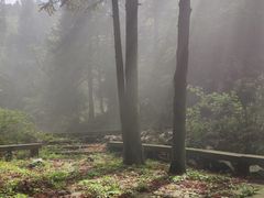 -武陵山森林公园