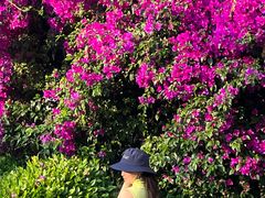 -昆明春城湖畔度假村