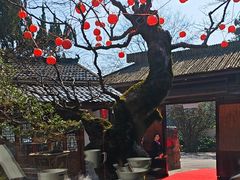 -木子山庄·安徽省老字号·中国炖锅宴