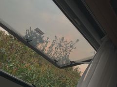 -崇明东平国家森林公园烧烤房车露营地