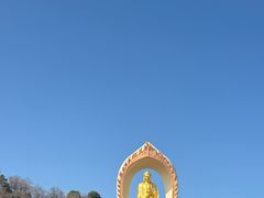 -庐山风景名胜区-东林大佛