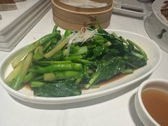 -金春禧(世茂国际广场店)