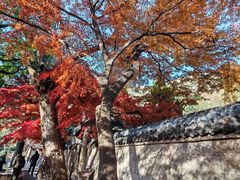 -青岛崂山太清宫