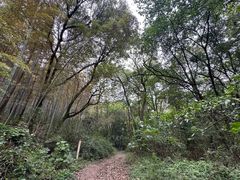 -杭州半山国家森林公园