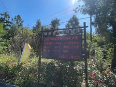 -玉苍山国家森林公园
