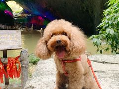 -英西峰林·洞天仙境