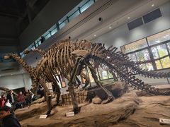 -自贡恐龙博物馆